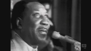 Muddy Waters - Garbage Man - LIVE in Sydney 1973 [FIXED AUDIO]