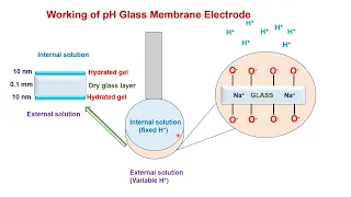 pH glass membrane electrode