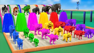 Funny Cartoon Animal Dinosaur,Buffalo Elephant Tiger Cow choose Right Fountain Crossing Game water