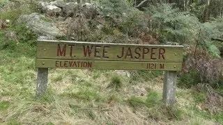 Yowie / Bigfoot Sighting (Audio Report #04) at Wee Jasper, New South Wales