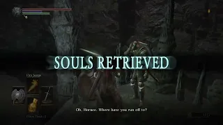 Dark Souls 3 - Telling Anri About Horace