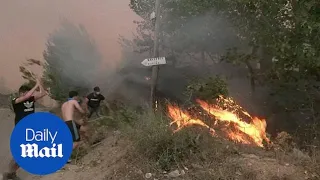 Wildfire rips through Algeria as people panic to put out flames