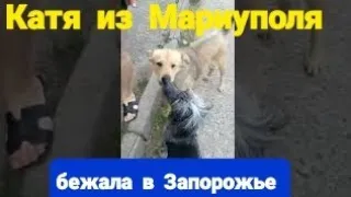 БЕЖЕНКА С МАРИУПОЛЯ ПОТЕРЯЛА ГЛАЗ НО ВЫЖИЛА И ПЕРЕЕХАЛА В ЗАПОРОЖЬЕ