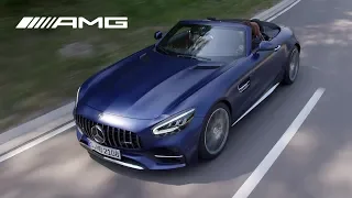 2020 Mercedes-Benz AMG GT C Roadster