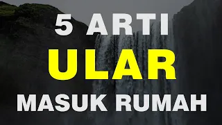 5 Arti Ular Masuk Rumah