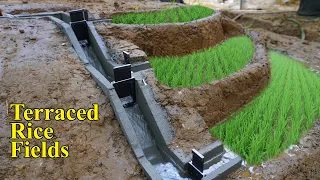 Construction of Terraced Fields and Irrigation Systems. Rice Cultivation In Mountainous Areas