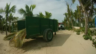 Hotel Riu Republica Punta Cana September 2017