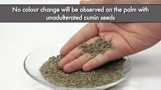 Testing Cumin Seeds adulteration with Grass Seeds | FSSAI