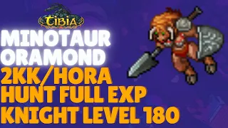 [TIBIA] - GUIA DE EK HUNT SOLO MINOTAUR ORAMOND MOUNTAIN | 2KK/H DE EXP HUNT FULL PROFIT LEVEL 200+