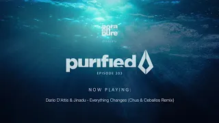 Nora En Pure - Purified Radio Episode 208