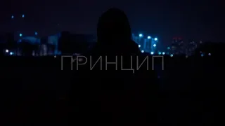 MAG - Принцип