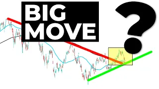 BIG Recovery or BEAR Market Rally? Stock Market Crash Update