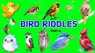 🦚PLAY WITH BIRDS 🦩 Bird Riddles/ Riddles in English /Birds riddles in English #birdriddles #birds