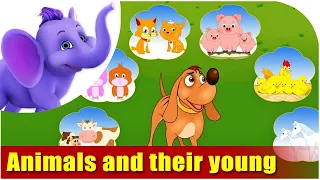 Animals and their babies||Animals and their youngones||how to teach kids animals and their youngones