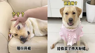 狗：没见过你这么恶心的人！