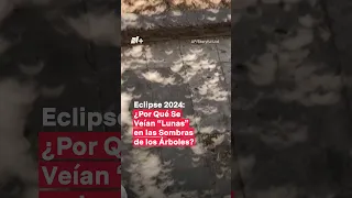 Eclipse 2024: ¿Por qué se veían “lunas” en las sombras de los árboles? - N+ #Shorts