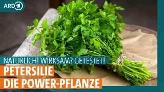 Petersilie: Die unterschätzte Heilpflanze  | Natürlich! Wirksam? Getestet! | ARD Gesund