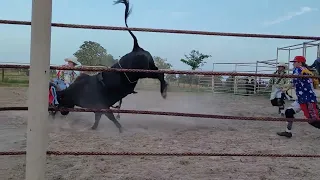 lane frost documentation