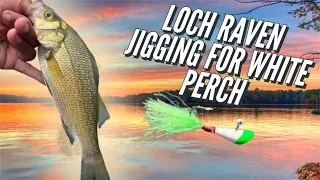 How to Jig for White Perch on Loch Raven Reservoir (NO LIVE BAIT NEEDED!)