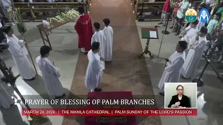 Palm Sunday of the Lord’s Passion at the Manila Cathedral - March 24, 2024 (10:00am)