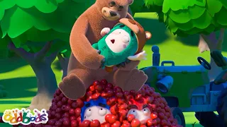 Zee vs Bear | Oddbods | Moonbug No Dialogue Comedy Cartoons for Kids