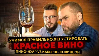 УЧИМСЯ ДЕГУСТИРОВАТЬ КРАСНОЕ ВИНО. Часть 2. Каберне-совиньон vs Пино-нуар | Женя Пьёт#74