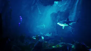 Underwater World - Unreal Engine Project
