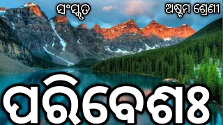 Class 8 Sanskrit 1st Chapter Paribesh || 8th Class Sanskrit Parivesh Odia Medium First Chapter