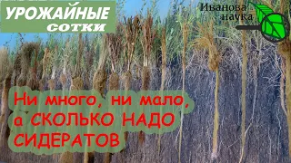 Сколько же СИДЕРАТОВ нужно от сорняков, как удобрение и для УРОЖАЯ? Нормы высева на все случаи!