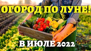 ТОЧНЫЙ ЛУННЫЙ КАЛЕНДАРЬ ОГОРОДНИКА НА ИЮЛЬ 2022 по дням  #лунныйкалендарь