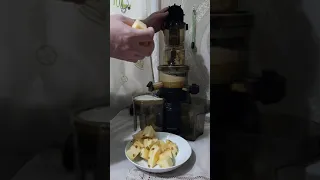 mirandi j100 делаем сок из ананаса