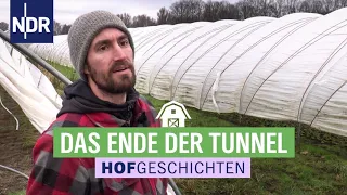 Die alten Gemüsetunnel werden abgerissen | Hofgeschichten: Leben auf dem Land (271) | NDR