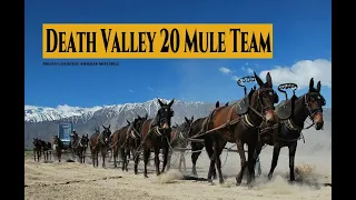 Death Valley 20 Mule Team