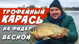 Трофейный Карась на фидер. Ловля Крупного карася в городе.