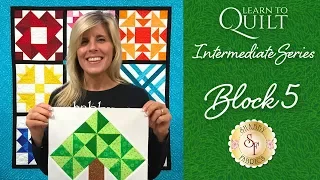 Learn to Quilt Intermediate Block Five | a Shabby Fabrics Quilting Tutorial