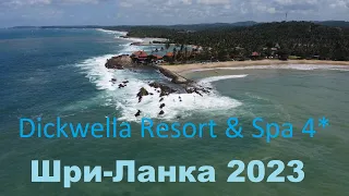Шри Ланка в мае 2023 Dickwella