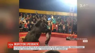 Хворий ведмідь від болю напав на дресирувальника у цирку Росії