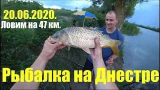 Рыбалка на Днестре 20.06.2020. Ловим на 47 км.