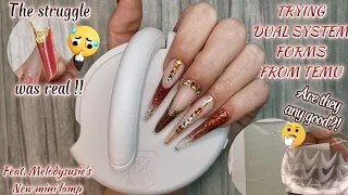 HOW TO USE DUAL FORM SYSTEM MOLD TABS / STICKERS FROM TEMU Russian Almond nails Ft Melodysusie lamp