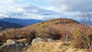 Devils Courthouse, Black Balsam Knob, and Sam Knob - Pisgah National Forest, NC