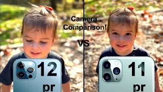 iPhone 12 Pro vs iPhone 11 Pro Images Camera Comparison!