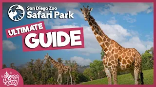 San Diego Zoo Safari Park Tour 2022 | All Animals, Exhibits & More