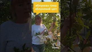 Яблучний чи яблуневий сік?