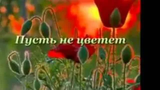 Любимому Брату Семёну от Сестры Домники!.wmv