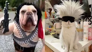 Funniest Animals Video 2022 😂 Funny cats and dogs videos 😻 Funny Video Compilation #95