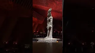 المتحف الجديد متحف المصري المكبير حفل تمثال الملك رمسيس الثاني