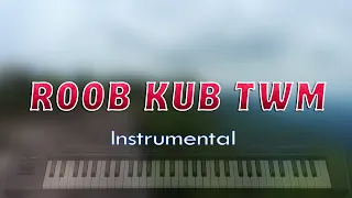 Tub Muaj Koob Lis - Roob kub twm Instrumental