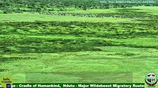 Ngorongoro Crater