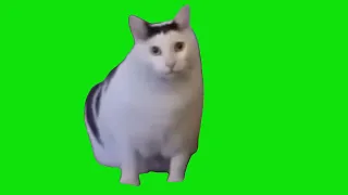 Cat Saying Huh Meme Green Screen Template