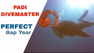 PADI Divemaster Course - I Won it for Free • Vlog 3